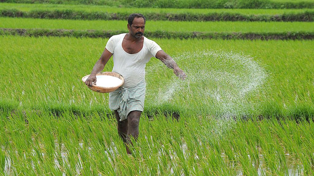 घाटे का सौदा खेती